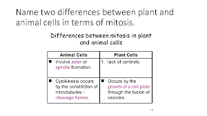 Check spelling or type a new query. Ap Biology Review Chapter 11 12 13 Cell