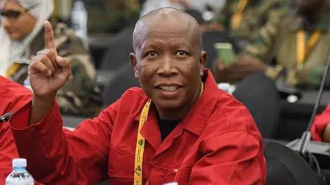 Julius Malema: What next for South African opposition firebrand?