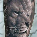 Tiny Lion Tattoo Idea By Goldy Z Hottattoos Lion Head Tattoos Head Tattoos Small Lion Tattoo