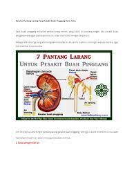 Kegagalan buah pinggang atau buah pinggang rosak boleh dibahagikan kepada 2 jenis iaitu kronik dan akut. Pantang Pesakit Buah Pinggang 1