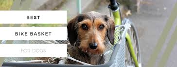 Previous prices$ 188.20 50% off. Best Dog Bike Baskets For Dogs Up To 25 Pounds