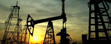 Aceste creaturi trăiesc în mare, lagune și guri lângă mare. Petrol AflÄƒ Ultimele NoutÄƒÈ›i Despre Petrol Poze È™i Video Petrol DiscuÈ›ii In Forum Despre Petrol