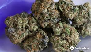 List kush names and pictures. The 53 Best Weed Strains Honest Marijuana