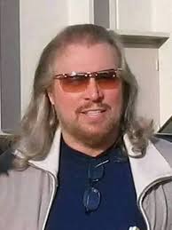 What type of hummingbirds are in the videos?