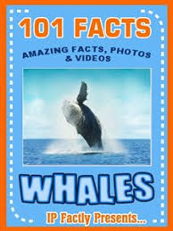 101 Whale Facts Book For Kids Cool And Interesting Facts For Kids Whale Facts For Kids Whale Facts Fun Facts For Kids