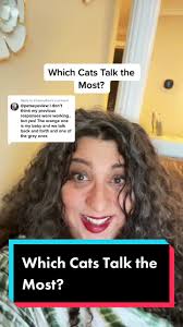 Most Talkative Cat Breeds Vet Tech