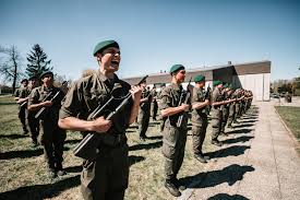 Das österreichische bundesheer bedauert den tragischen unfall zutiefst. Angelobung Von 170 Rekruten In Allentsteig Militar Aktuell Sicherheit Im Fokus