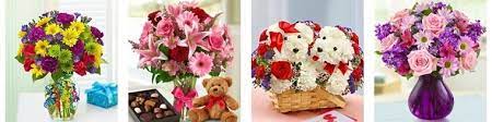 2417 peninsula dr, erie, pa 16506, usa adres. The 8 Best Options For Flower Delivery In Erie Pennsylvania 2021