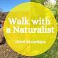 Walk With A Naturalist event image