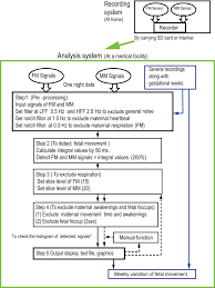 The Fmam Recording Analysis System And A Flow Chart The