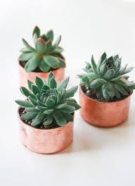 Picking it up doesn't require a pair of shears. Serendipitous Pins Sfgirlbybay Plants Copper Planters House Plants