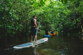 Profitez des meilleures offres pour découvrir ce qu'il faut visiter en guyane française! La Guyane Le Departement Le Plus Dingue De France