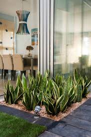 What Are The Tips For Creating A Perfect Inner Garden Inen Garten Innengarten Garten Garten Ideen