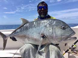 The boat is available for different durations of hire: Game Fishing In Maldives Skull Fishing