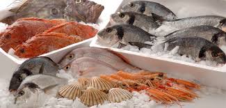 Il ranking che trovate qui di seguito consiste nella classifica dei pesci che contengono meno. Qual E Il Pesce Con Meno Proteine Pesce Meno Proteico