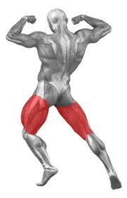 Maybe you would like to learn more about one of these? Standing Toe Touches Exercise Database Jefit Best Android And Iphone Workout Fitness Exercise And Bodybuilding App Best Workout Tracking Software