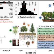 Působí jako moderátor pořadů medůza,exit 316, křesťanský magazín a pomozte dětem. Pdf Soil Plant Atmosphere Interactions Structure Function And Predictive Scaling For Climate Change Mitigation