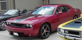 Image result for Furious Fuchsia 2010 Challenger