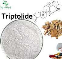 98% Triptolide Food Grade Powder Tripterygium Wilfordii Extracts CAS  38748-32-2 Packed In Bottle