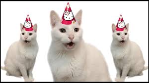 The random vibez gets you the ultimate collection of best happy birthday cat meme, images, pictures and more. Happy Birthday From The Cats Youtube