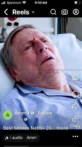 Now that we've done Bon Hiver, what other Cicely traditions can this group  observe together online? (No, we cannot fling cows!)