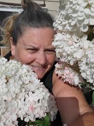 Strawberry and cream hydrangea care tips needed