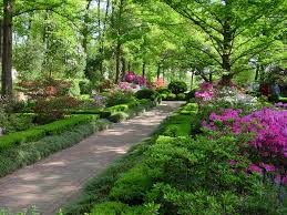 Our mission is to inspire a love for plants and nature through programming, classes, and botanical displays. Us National Arboretum Garden Washington