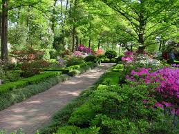 United states botanic garden (usbg), established by the u.s. Us National Arboretum Garden Washington