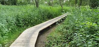 De grond was weinig vruchtbaar en er golden strenge regels. Trage Tocht Wortel Kolonie Wandelen In De Maatschappij Van Weldadigheid Ambulare