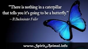 Maybe you would like to learn more about one of these? Butterfly Quotes Spirit Animal Info