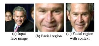 How to Overcome Confirmation Bias in Technology Development