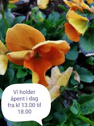 Boka hotell i vaga, norge enkelt via seat24. Vaga Hotel Home Facebook