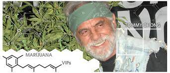 Facebook gives people the power to share and. Marihuana Vips Tommy Chong Cannaconnection Com