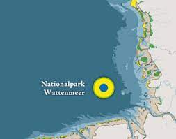 Von den niederlanden bis nach dänemark erstreckt sich die größte zusammenhängende wattenlandschaft der erde. Herzlich Willkommen Nationalpark Hauser Und Zentren Niedersachsisches Wattenmeer