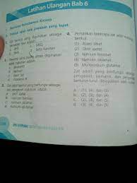 Latihan soal ipa tema 8 sd kelas 5. Latihan Ulangan Bab 6 Ipa Brainly Co Id