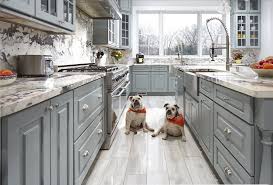 This Amazing Gray Black And White Kitchen Is Bulldog Approved Cliqstudios Cambridge Cabinets In Our Kitchen Design Decor Gorgeous Kitchens Kitchen Remodel