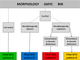 Otu Definition Criteria When All Methodologies Were In Accordance In Download Scientific Diagram