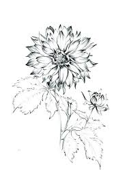 Black And White Pencil Drawings Simple White Background Large Flower Rose Drawing Step By Step Black And White Pencil Sketch In 2020 Flower Drawing Flower Sketches Cute Flower Drawing