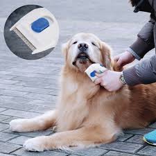 new Flea Doctor Electric Flea Comb for Dogs Cats Pet Brush Anti Tick  Control | Daraz.lk