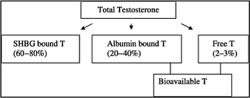 Buzzfeed Guys Test Their Testosterone Levels Average