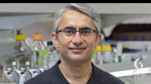 A discovery about a neural circuit located deep in the brains of female  mice may give scientists a map to learn more about female human brains