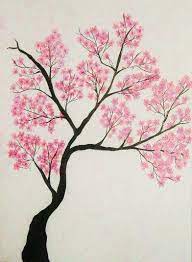 Most cherry blossom trees have a lifespan between 30 and 40 years, though it can vary by species. Cherry Tree Drawing Cherry Blossom Drawing Tree Drawing Tree Illustration