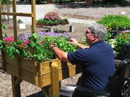 Wheelchair Accessible Gardening Healing Garden Backyard Renovations Sensory Garden