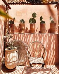 Ordina piante grasse di prima qualità e da soli 6,49€. 880 Idee Su Cactus Piante Grasse Nel 2021 Piante Grasse Piante Cactus