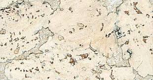 Cork Wall Ceiling Tiles Amcork Cork Wall Cork Wall Tiles Cork Board Wall