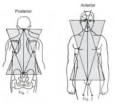 Pin On Energywork Therapies