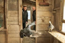 Dat betekent wel dat u vandaag geen enkele keer het unieke renaat zult horen, de gevleugelde uitspraak waarmee michel doorgeeft aan de man. Ik Ben Nog Altijd Meer Renner Dan Journalist Maar Elk Jaar De Standaard Mobile