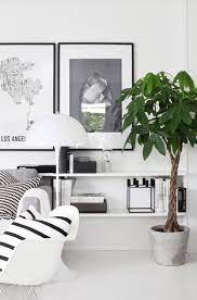 grote plant in de woonkamer small living room layout interior small living room decor