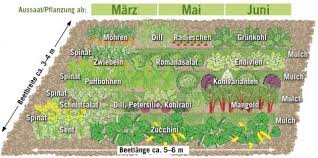 Ich habe im garten anm apfelbaum komische käfer entdeckt. Gemuseanbau In Mischkultur Mein Schoner Garten