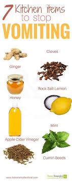 How To Prevent Vomiting Vomiting Remedies Home Remedies For Vomiting Remedies